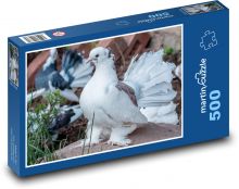 Weiße Taube - Vogel, Tier Puzzle 500 Teile - 46 x 30 cm