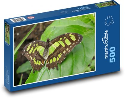 Butterfly - insects, nature - Puzzle of 500 pieces, size 46x30 cm 
