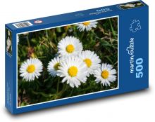 Sedmikráska - květiny, louka Puzzle 500 dílků - 46 x 30 cm