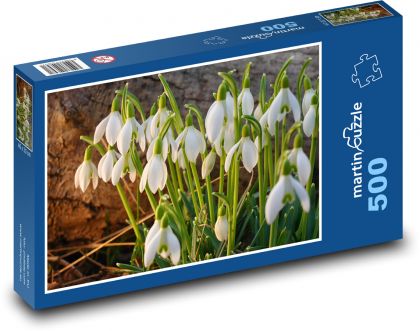 Snowdrops - white flowers, spring - Puzzle of 500 pieces, size 46x30 cm 