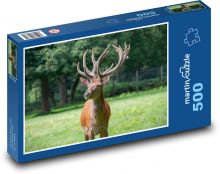 Jeleń - zwierzę, ssak Puzzle 500 elementów - 46x30 cm