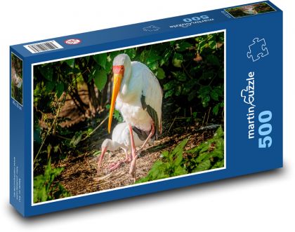 Ibis - bird, animal - Puzzle of 500 pieces, size 46x30 cm 