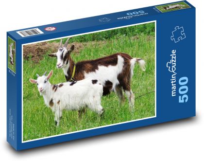 Koza - koza, jagnięcina - Puzzle 500 elementów, rozmiar 46x30 cm