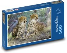 Gepard - divoká kočka, Afrika Puzzle 500 dílků - 46 x 30 cm