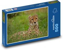 Gepard - duży kot, Afryka Puzzle 500 elementów - 46x30 cm