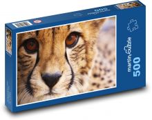 Gepard - zvíře, savec Puzzle 500 dílků - 46 x 30 cm