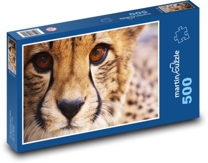 Gepard - zvíře, savec - Puzzle 500 dílků, rozměr 46x30 cm