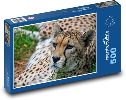 Cheetah - beast, big cat - Puzzle of 500 pieces, size 46x30 cm 