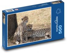 Gepardi - Safari, Afrika Puzzle 500 - 46x30 cm