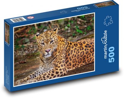 Leopard - šelma, zvíře - Puzzle 500 dílků, rozměr 46x30 cm