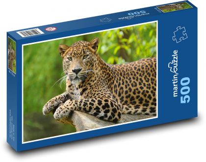 Leopard - cat, animal - Puzzle of 500 pieces, size 46x30 cm 