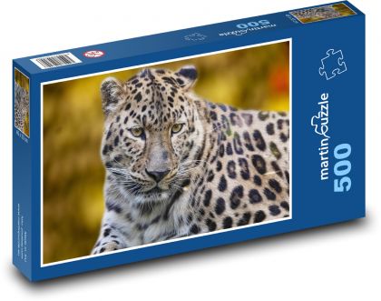 Leopard - dravec, zviera - Puzzle 500 dielikov, rozmer 46x30 cm 