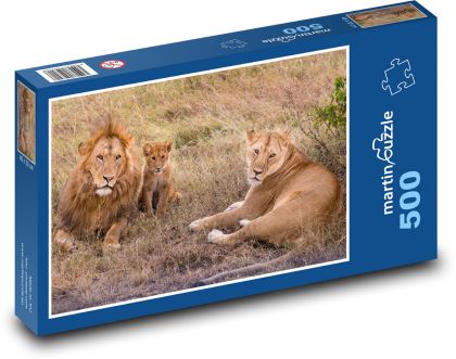 Lvi - rodina, mládě - Puzzle 500 dílků, rozměr 46x30 cm