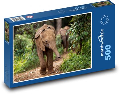 Elephant - animal, elephant - Puzzle of 500 pieces, size 46x30 cm 