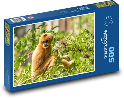 Gibon - opice, zoo - puzzle 500 dílků