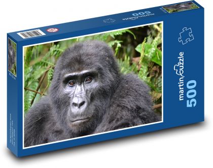 Gorilla - Uganda, rainforest - Puzzle of 500 pieces, size 46x30 cm 