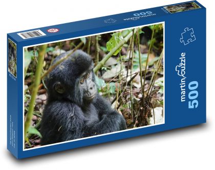 Gorila - největší primát, mládě - Puzzle 500 dílků, rozměr 46x30 cm