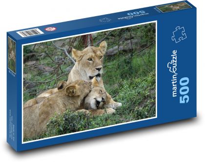 Lvi - Safari, Keňa - Puzzle 500 dílků, rozměr 46x30 cm