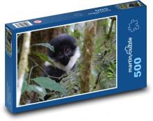 Opice - příroda, Uganda Puzzle 500 dílků - 46 x 30 cm