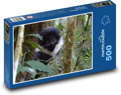 Opice - příroda, Uganda - Puzzle 500 dílků, rozměr 46x30 cm