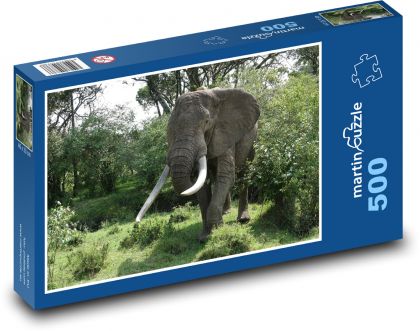 Elephant - animal, nature - Puzzle of 500 pieces, size 46x30 cm 