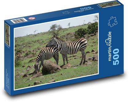 Zebra - Safari, příroda - Puzzle 500 dílků, rozměr 46x30 cm