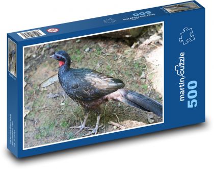 Guan - vták, zviera - Puzzle 500 dielikov, rozmer 46x30 cm 