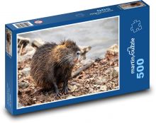 Nutrie - vodní zvíře Puzzle 500 - 46x30 cm