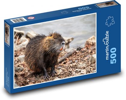 Nutrie - vodní zvíře - Puzzle 500 dílků, rozměr 46x30 cm