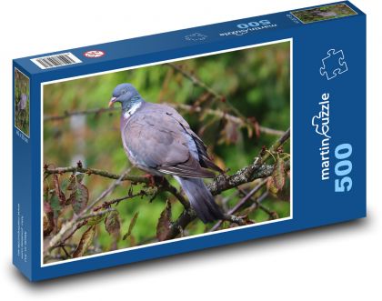 Holub - pták, zvíře - puzzle 500 dílků