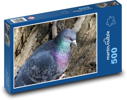 Pigeon - bird, ornithology - Puzzle of 500 pieces, size 46x30 cm 