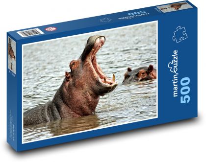 Hippo - Africa, Safari - Puzzle of 500 pieces, size 46x30 cm 