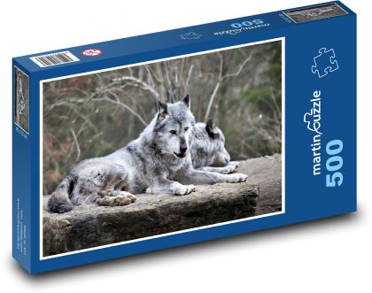 Vlk - divoké zvíře, příroda - puzzle 500 dílků