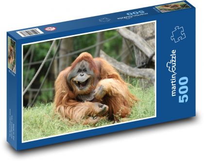 Vysmátý orangutan - opice, zoo - Puzzle 500 dílků, rozměr 46x30 cm