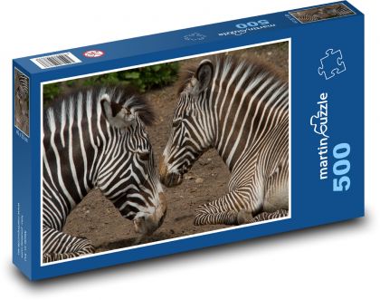 Zebra - matka s mládětem - puzzle 500 dílků