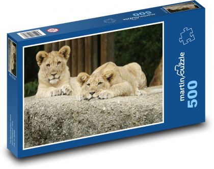 Lwiątko - bliźniaki, zwierzęta - Puzzle 500 elementów, rozmiar 46x30 cm