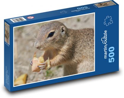 Murmeltier - Nagetier, hungrig - Puzzle - 500 Teile
