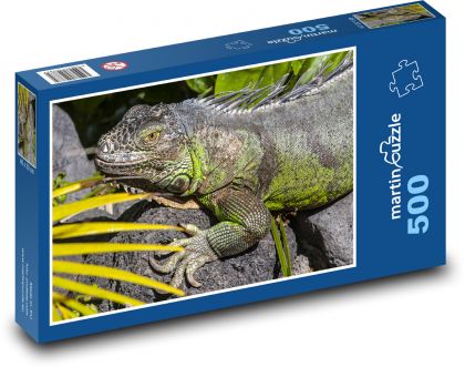 Iguana - lizard, reptile - Puzzle of 500 pieces, size 46x30 cm 