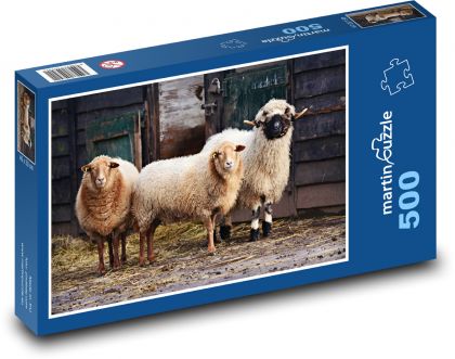 Sheep - mammal, ruminant - Puzzle of 500 pieces, size 46x30 cm 