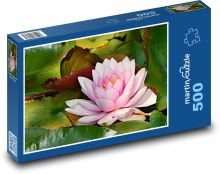 Ružový lekno - vodná rastlina, kvet Puzzle 500 dielikov - 46 x 30 cm