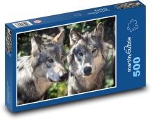 Vlci - dravá šelma, zvieratá Puzzle 500 dielikov - 46 x 30 cm 