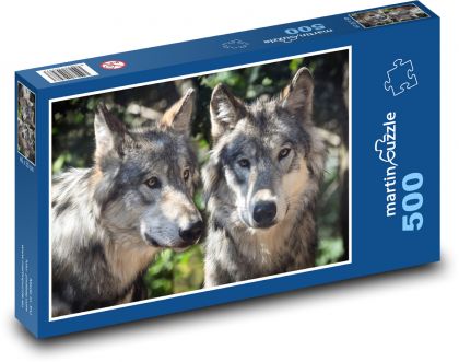 Vlci - dravá šelma, zvieratá - Puzzle 500 dielikov, rozmer 46x30 cm 