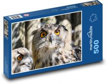 Owl - bird, eyes Puzzle of 500 pieces - 46 x 30 cm 