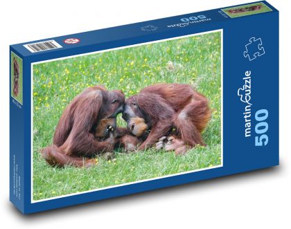 Hrajúce orangutany - primát, opice - Puzzle 500 dielikov, rozmer 46x30 cm 