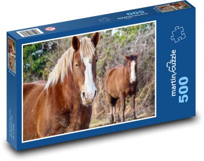 Bretónsky kôň - zviera, pole - Puzzle 500 dielikov, rozmer 46x30 cm 