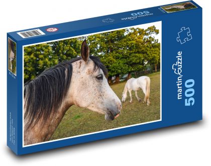 Kůň na poli - pást se, zvíře - Puzzle 500 dílků, rozměr 46x30 cm