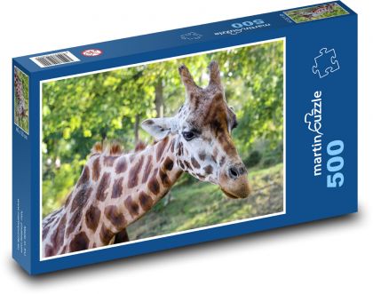 Žirafa - hlava, krk - Puzzle 500 dílků, rozměr 46x30 cm