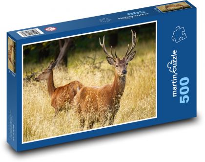 Jelen a laň - les, zvířata - Puzzle 500 dílků, rozměr 46x30 cm