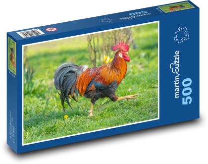 Drůbež - kohout - puzzle 500 dílků