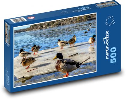 Kačice, jazero, ľad - Puzzle 500 dielikov, rozmer 46x30 cm 